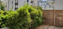 SEINE SAINT DENIS STYLE (Plaine St Denis) SEINE SAINT DENIS STYLE (Plaine St Denis)